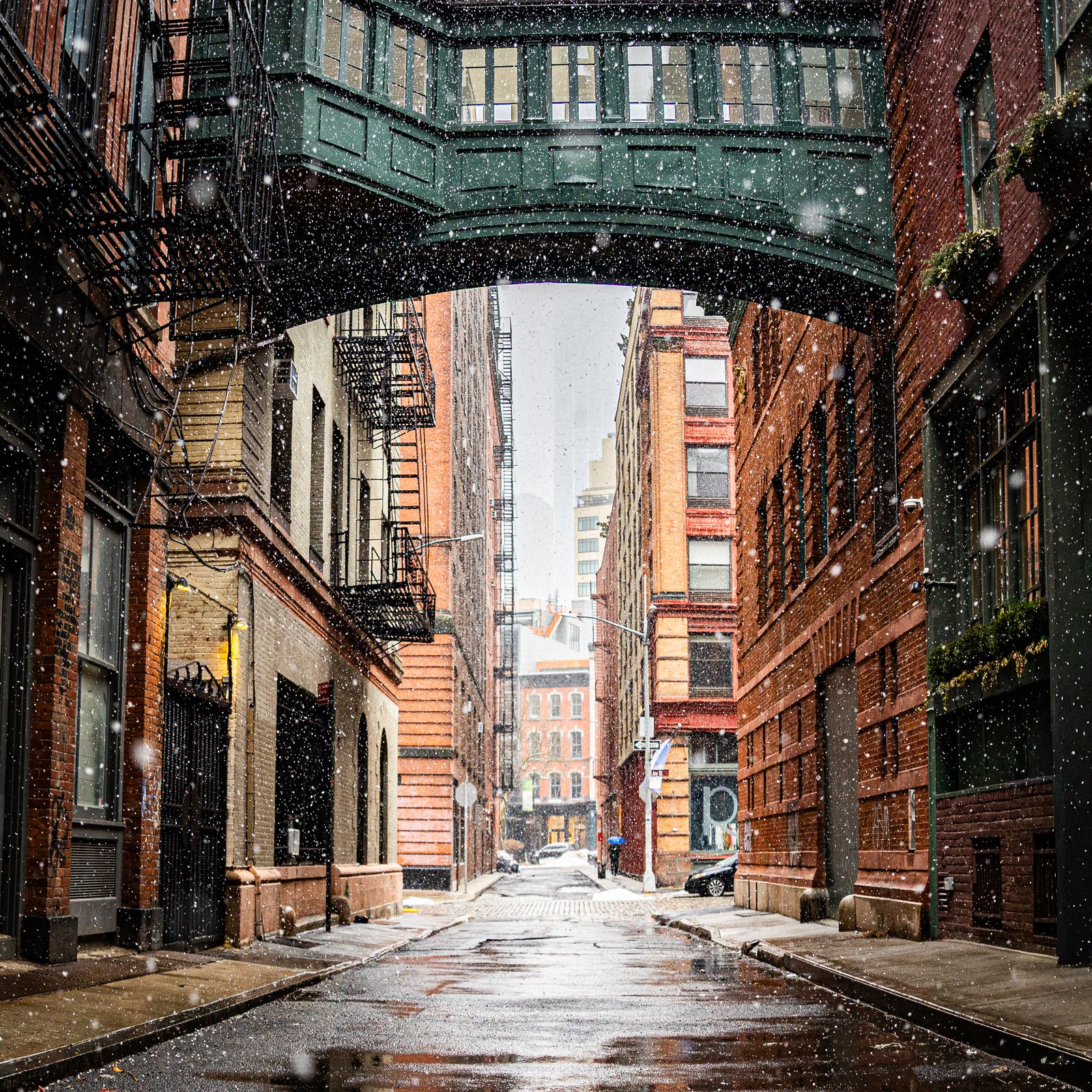 Tribeca Staple Street Skybridge Snow